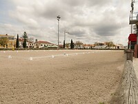 IMG_7803
