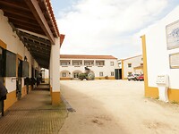 IMG_7805