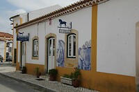 IMG_9505