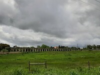 20250414_115032-1