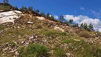 20250416_130808~2[1]