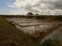 IMG_7888