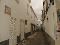 IMG_7878