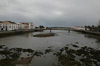 IMG_9610
