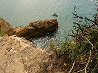 IMG_7914