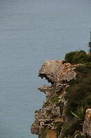 IMG_9825