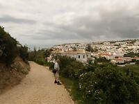 IMG_7959