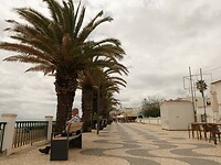 IMG_7977