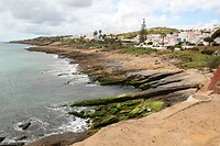 IMG_9886