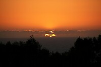 IMG_9964