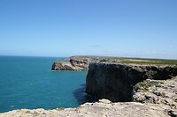 IMG_9950