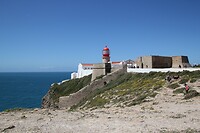 IMG_9952