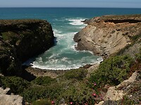 IMG_8120