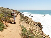 IMG_8121