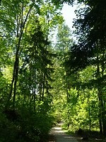 IMG_8145