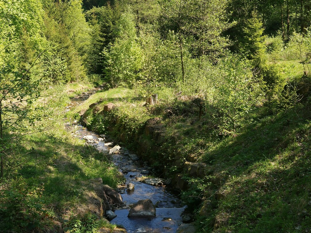 IMG_8167