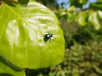 IMG_8169