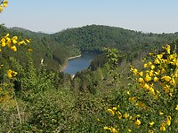 IMG_8176