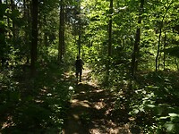 IMG_8186