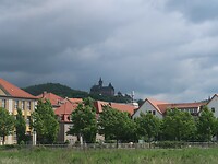 IMG_8321