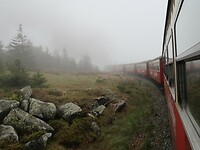 IMG_8290