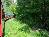 IMG_8306