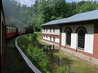 IMG_8313