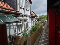 IMG_8316