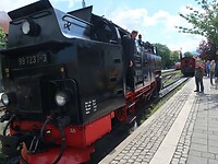 IMG_8325