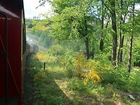 IMG_8302