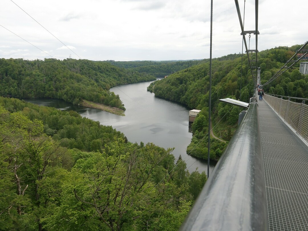 IMG_8334