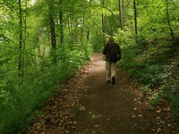 IMG_8341