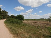 IMG_8356