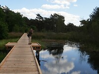 IMG_8368