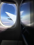 Wing