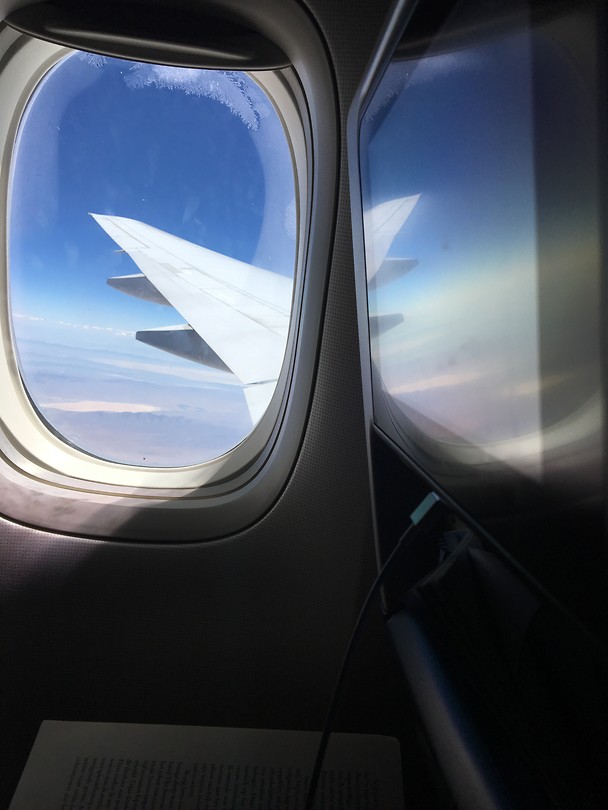 Wing
