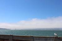 Golden in de mist gate bridge
