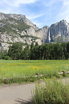 Yosemite