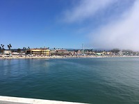 Santa Cruz