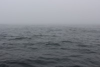 Mist
