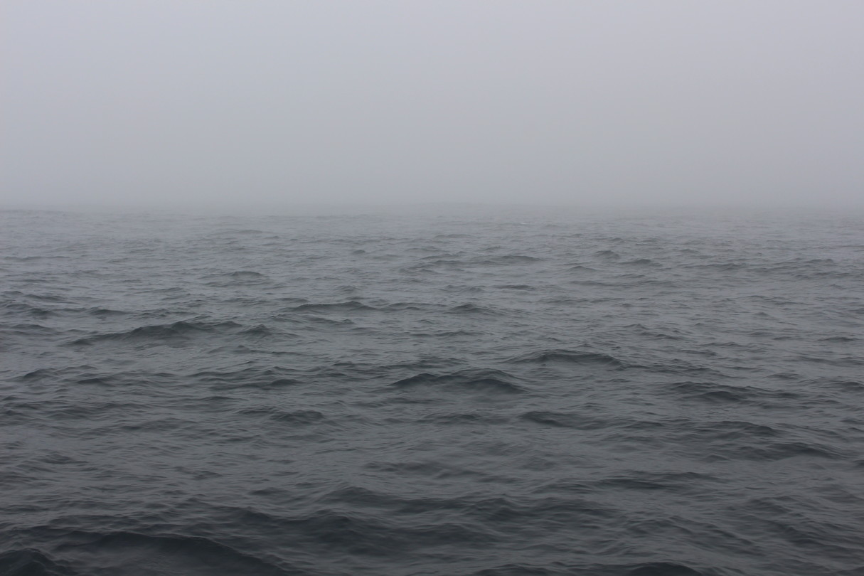 Mist