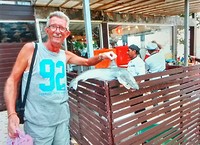 Haai op Whitesandbeach