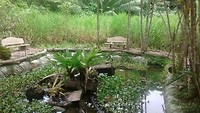 Choza de Manglar