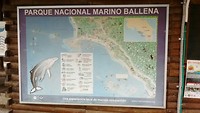 Parque Nacional Marina Ballena