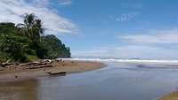 Marino Ballena