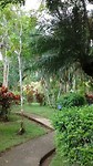 Villas Riomar