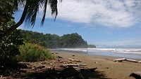 Marino Ballena