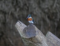 P1060402