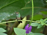 P1070925
