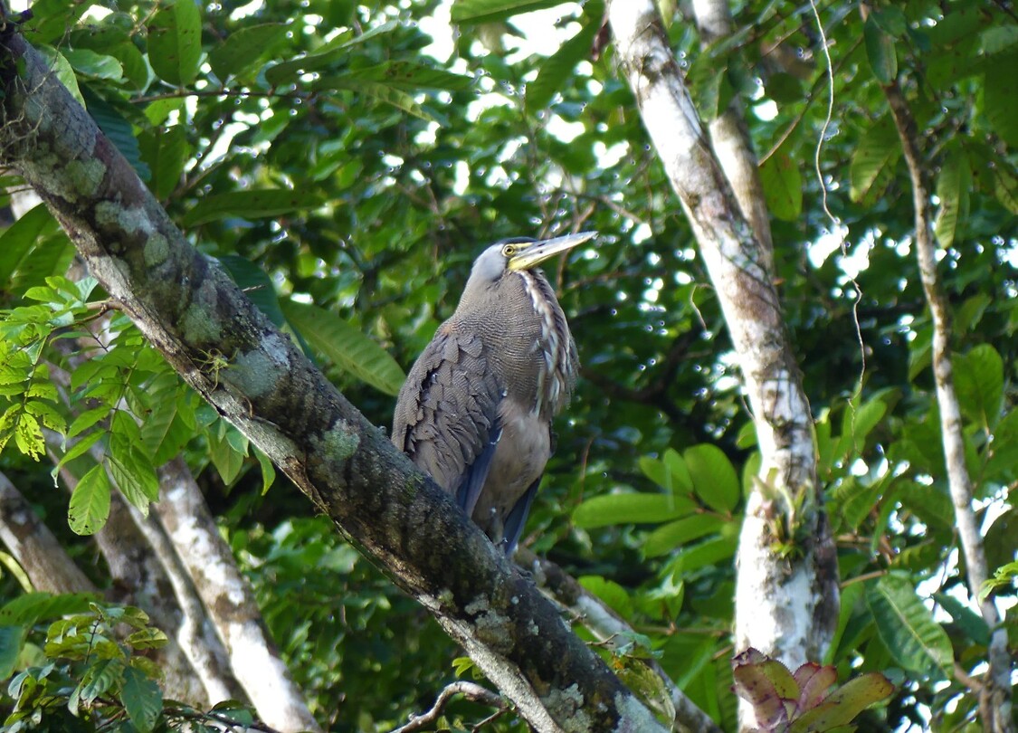 P1080017